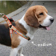 Collars & Leashes - Much Loved Monkey Harness