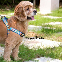 Collars & Leashes - Pettraits Harness