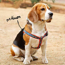 Collars & Leashes - Taking My Humans Harness