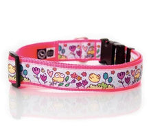 Collars & Leashes - Tweet Tweet Collar