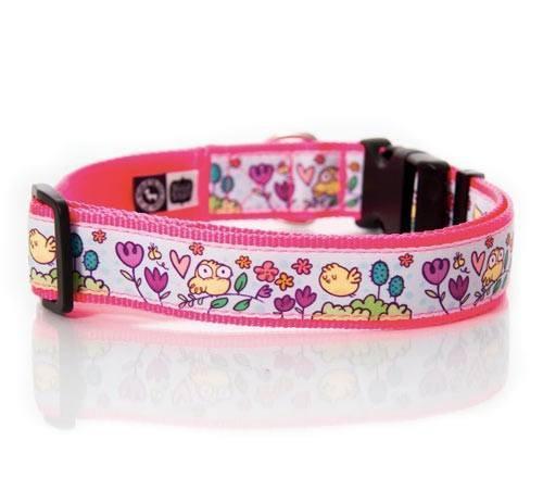Collars & Leashes - Tweet Tweet Collar