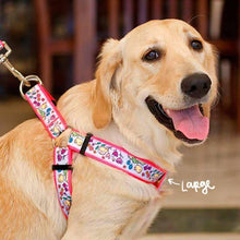 Collars & Leashes - Tweet Tweet Harness